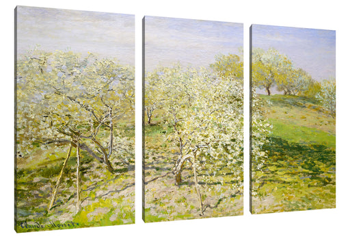Claude Monet - Frühling Apfelbäume in der Blüte Leinwanbild 3Teilig
