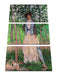 Claude Monet - Die Spaziergängerin Suzanne Hoschedé Leinwanbild 3Teilig