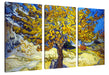 Vincent Van Gogh - Maulbeerbaum Leinwanbild 3Teilig