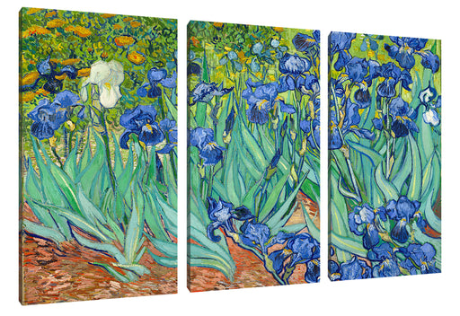 Vincent Van Gogh - Schwertlilien Leinwanbild 3Teilig