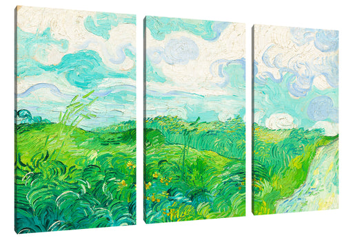 Vincent Van Gogh - Feld mit grünem Weizen Leinwanbild 3Teilig