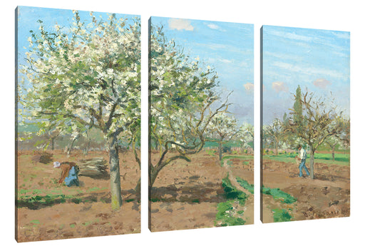 Camille Pissarro - Orchard in Blossom Louveciennes  Leinwanbild 3Teilig