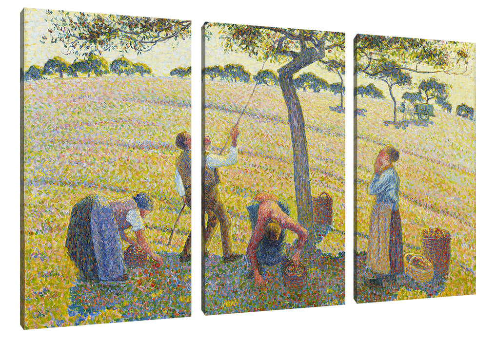 Camille Pissarro - Apple Harvest Leinwanbild 3Teilig