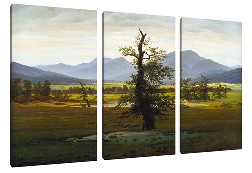 Caspar David Friedrich - Der einsame Baum Leinwanbild 3Teilig