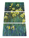 Claude Monet - Gelbe Schwertlilien  Leinwanbild 3Teilig