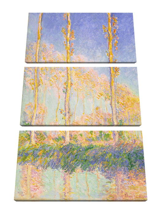 Claude Monet - Pappeln   Leinwanbild 3Teilig