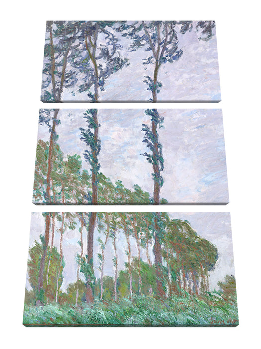 Claude Monet - PappelnWind-Effekt Leinwanbild 3Teilig