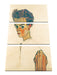 Egon Schiele - Selbstportrait  Leinwanbild 3Teilig
