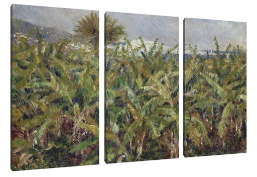 Pierre-Auguste Renoir - Feld mit Bananenbäumen  Leinwanbild 3Teilig