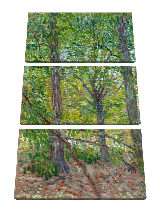 Vincent Van Gogh - Bäume  Leinwanbild 3Teilig