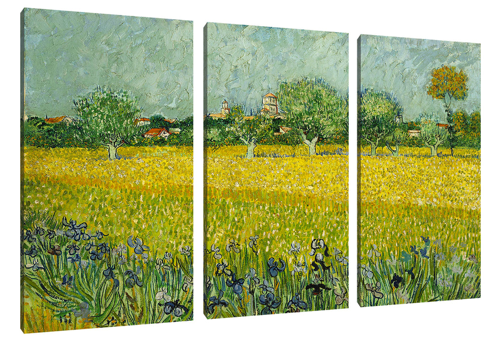 Vincent Van Gogh - Feld mit Blumen in der Nähe von Arle Leinwanbild 3Teilig