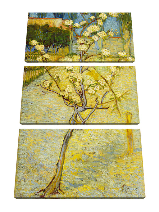 Vincent Van Gogh - Blühender kleiner Birnenbaum  Leinwanbild 3Teilig