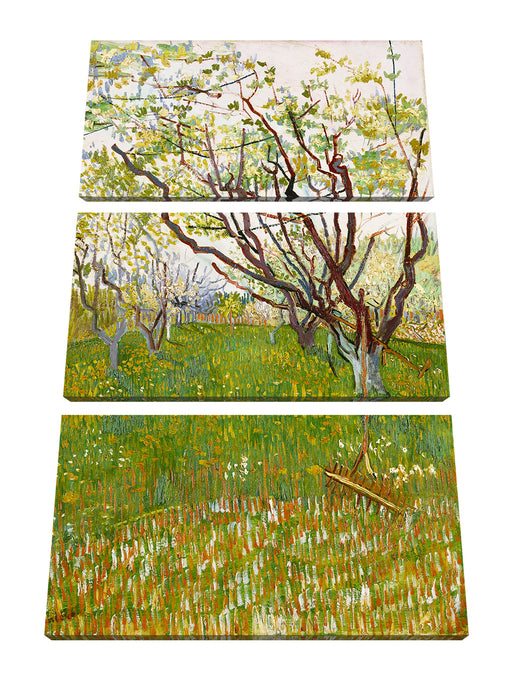 Vincent Van Gogh - Der blühende Obstgarten  Leinwanbild 3Teilig