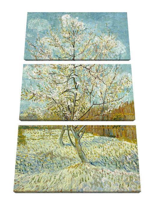 Vincent Van Gogh - Der pinke Pfirsischbaum  Leinwanbild 3Teilig