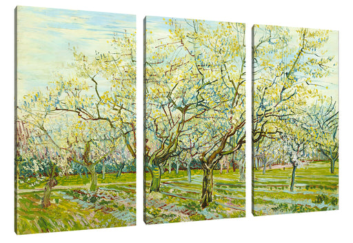 Vincent Van Gogh - Der weiße Obstgarten  Leinwanbild 3Teilig