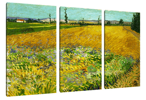 Vincent Van Gogh - Weizenfeld  Leinwanbild 3Teilig