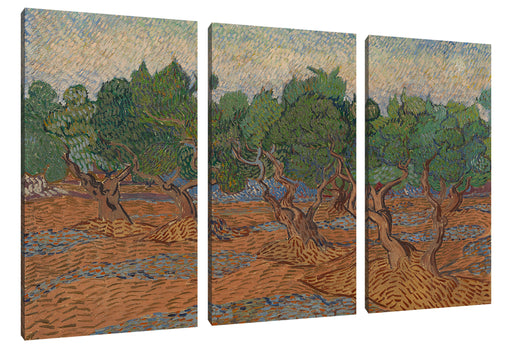 Vincent Van Gogh - Oliven-Hain  Leinwanbild 3Teilig