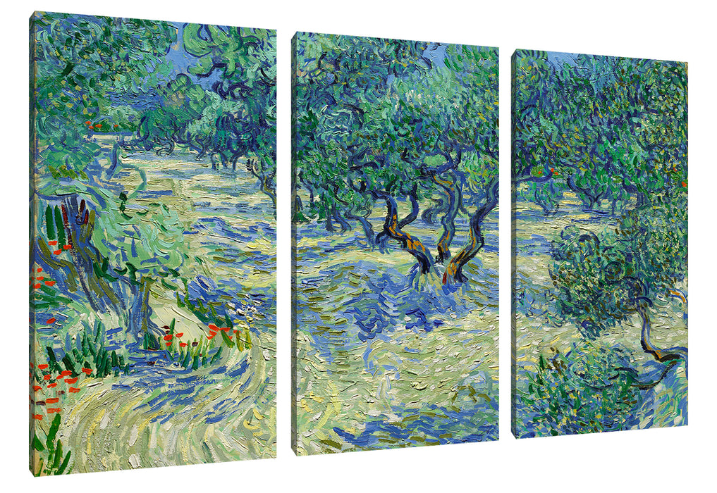 Vincent Van Gogh - Oliven-Feld  Leinwanbild 3Teilig