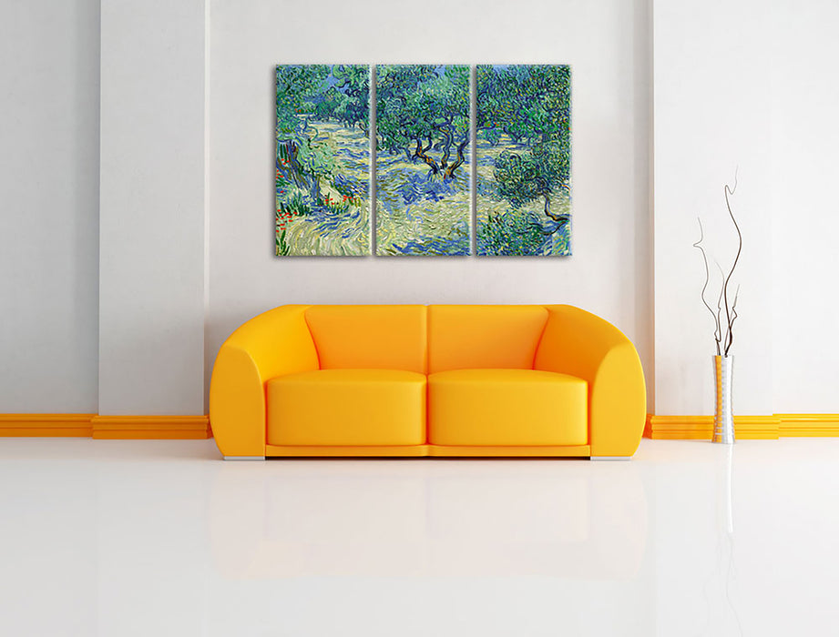 Vincent Van Gogh - Oliven-Feld  Leinwandbild im Wohnzimmer 3Teilig