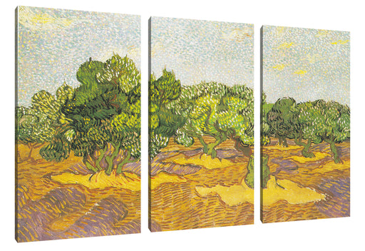 Vincent Van Gogh - Oliven-Bäume II  Leinwanbild 3Teilig
