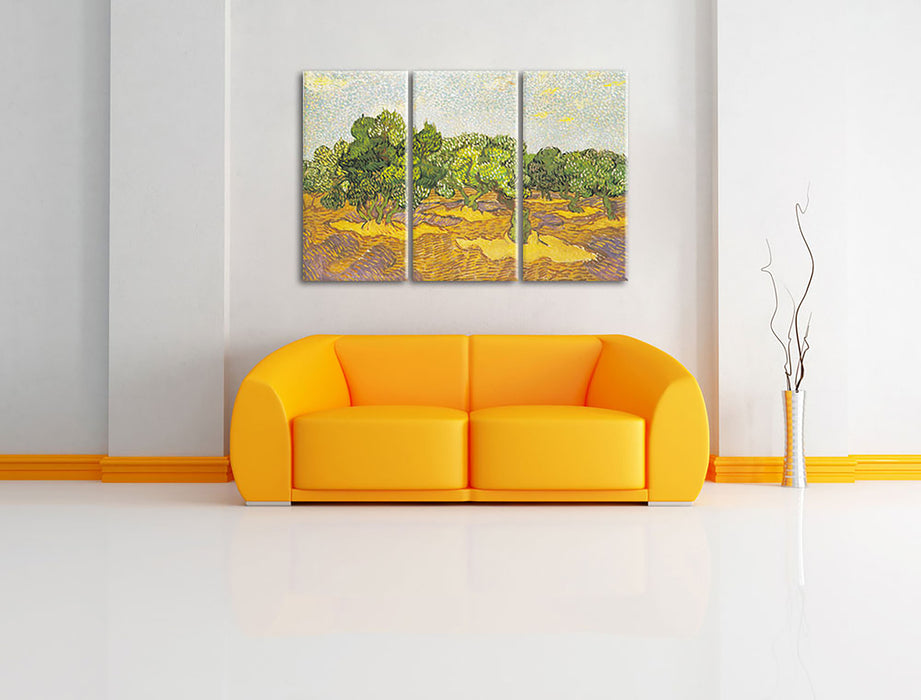 Vincent Van Gogh - Oliven-Bäume II  Leinwandbild im Wohnzimmer 3Teilig
