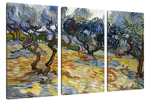 Vincent Van Gogh - Oliven-Bäume  Leinwanbild 3Teilig