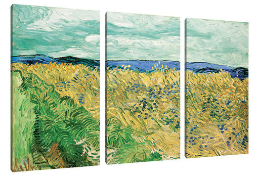 Vincent Van Gogh - Weizenfeld mit Kornblumen  Leinwanbild 3Teilig