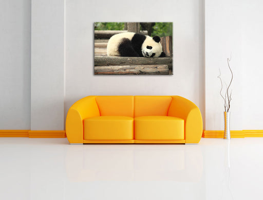 süßer kleiner Pandabär Leinwandbild über Sofa