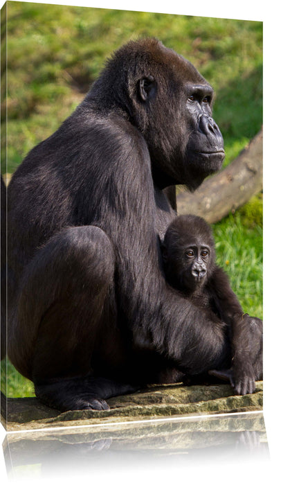 Pixxprint Liebevolle Gorillafamilie, Leinwandbild