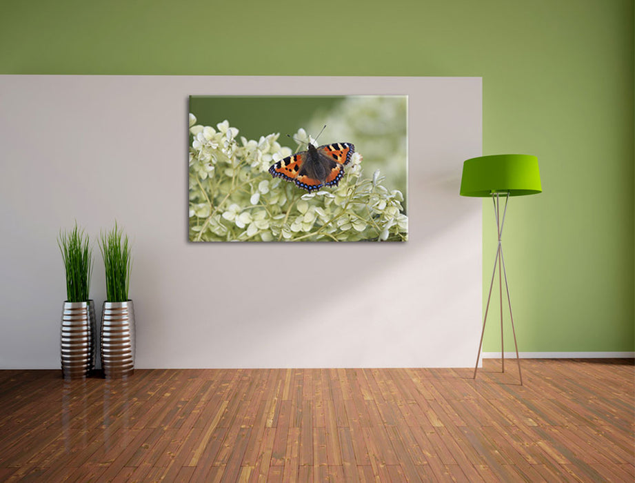 Schmetterling auf weißen Blüten, Leinwandbild