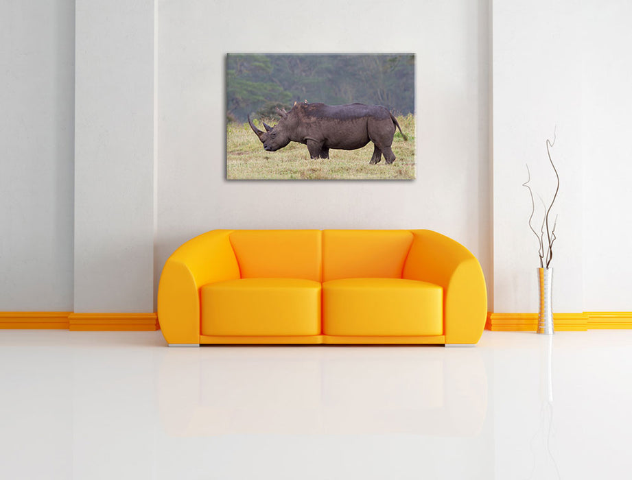 großes Nashorn in der Savanne Leinwandbild über Sofa