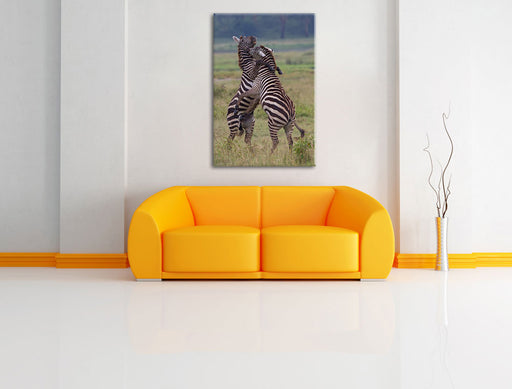 kämpfende Zebras Leinwandbild über Sofa