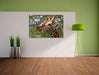 niedliche Giraffe beim Fressen Leinwandbild im Flur