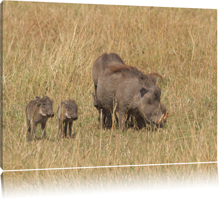 Pixxprint Warzenschweinfamilie Savanne, Leinwandbild