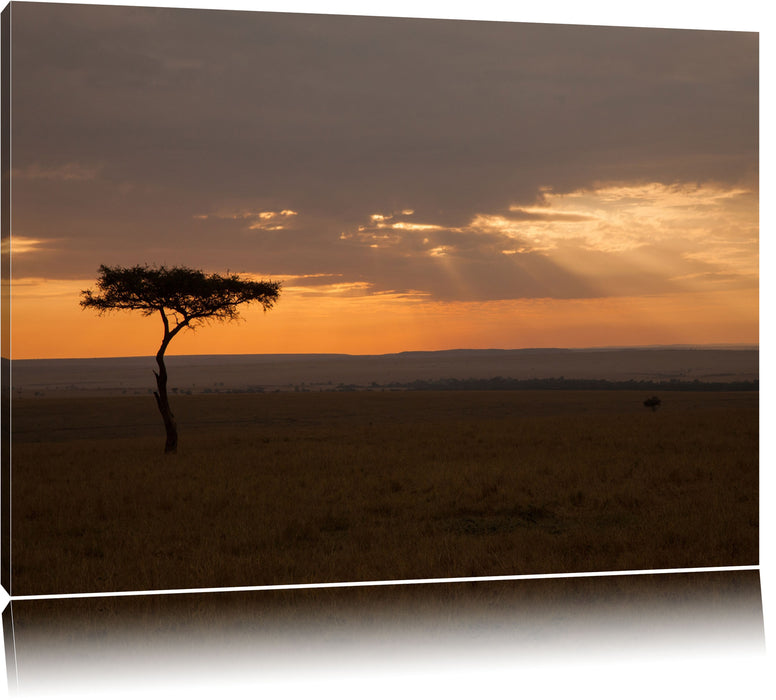 Pixxprint Sonneneinfall in die Savanne, Leinwandbild