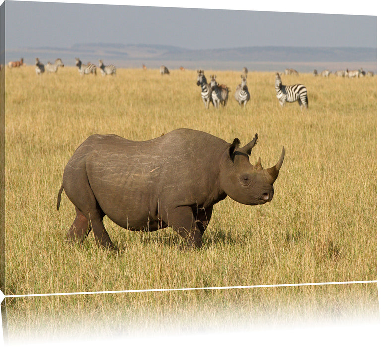 Pixxprint großes Nashorn mit Zebrahorde, Leinwandbild