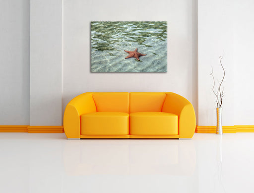 Seestern im klaren Wasser Leinwandbild über Sofa