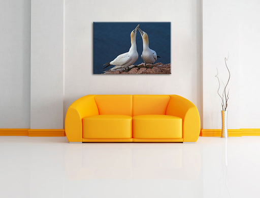 außergewöhnliche Vögel am Meer Leinwandbild über Sofa