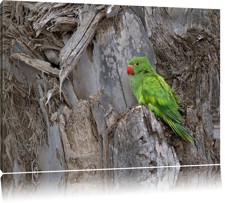 grüner Papagei im Gehölz, Leinwandbild