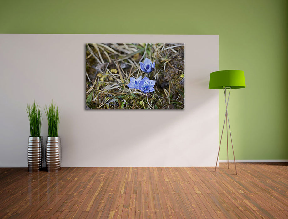 Kleine süße Blaue Blume Leinwandbild im Flur