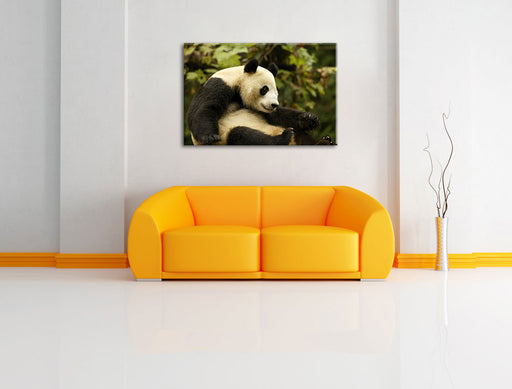 niedlicher Pandabär Leinwandbild über Sofa