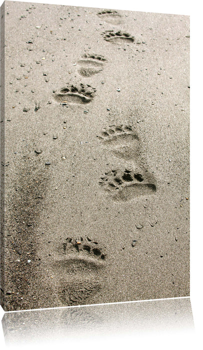 Pixxprint Tierspuren im Sand, Leinwandbild