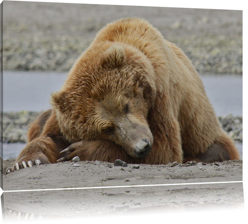 Bär am Sandstrand Leinwandbild