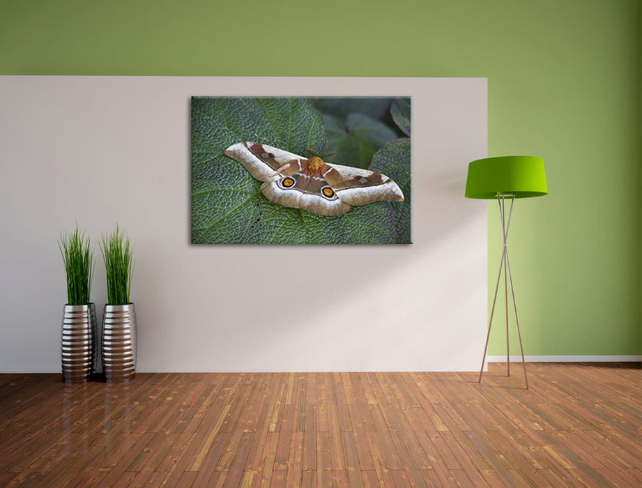 Schmetterling auf Blatt Leinwandbild im Flur