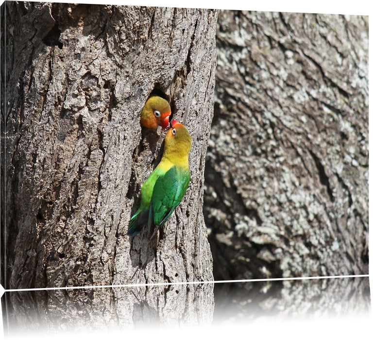 Pixxprint Unzertrennlichen-Paar, Leinwandbild