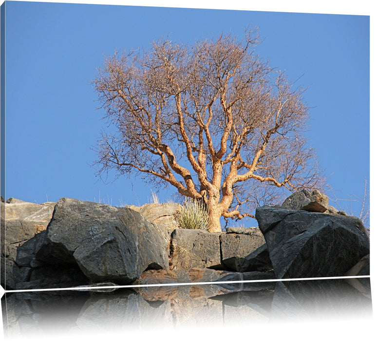 Pixxprint einsamer Baum im Gebirge, Leinwandbild