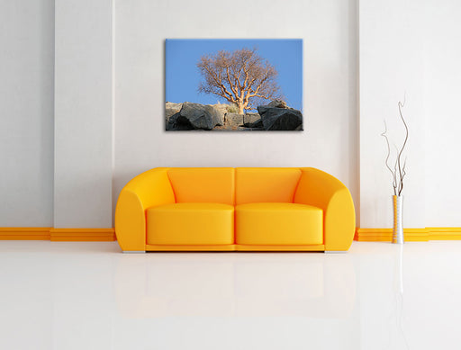 einsamer Baum im Gebirge Leinwandbild über Sofa