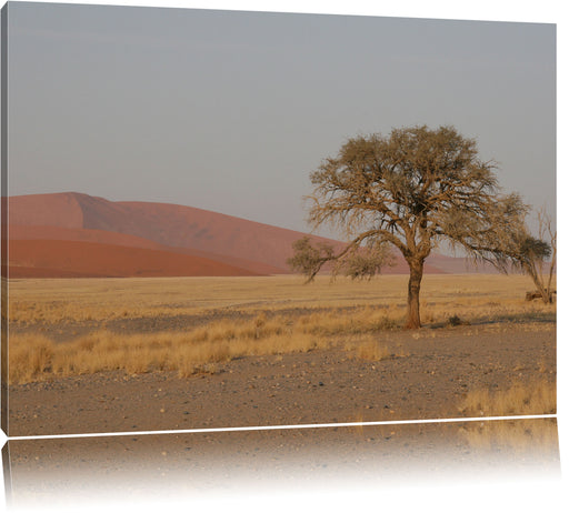 einzelner Baum in Wüste Leinwandbild