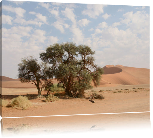Bäume in Wüstenlandschaft Leinwandbild