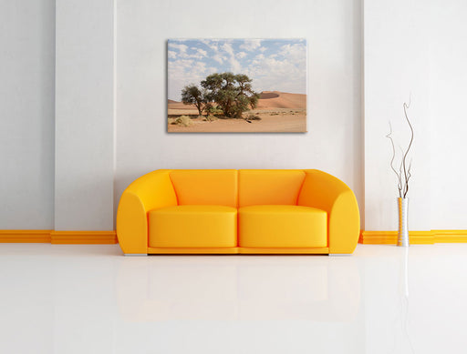 Bäume in Wüstenlandschaft Leinwandbild über Sofa